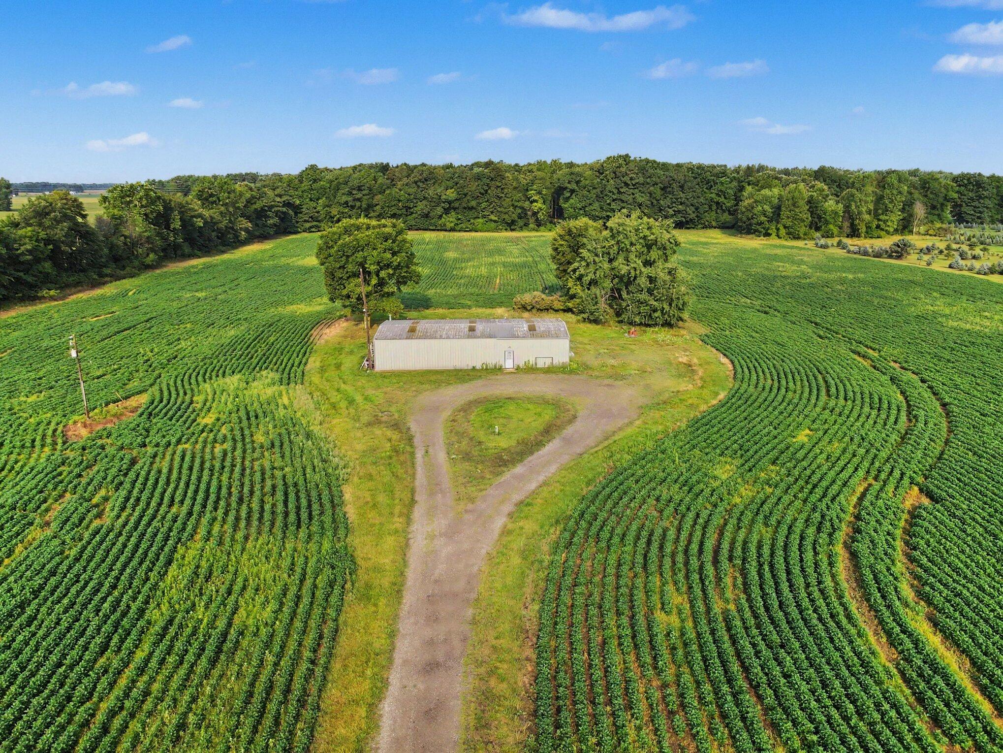 11581 Mulliken Road Mulliken, MI 48861 - Photo 13 of 22 009_file_4418