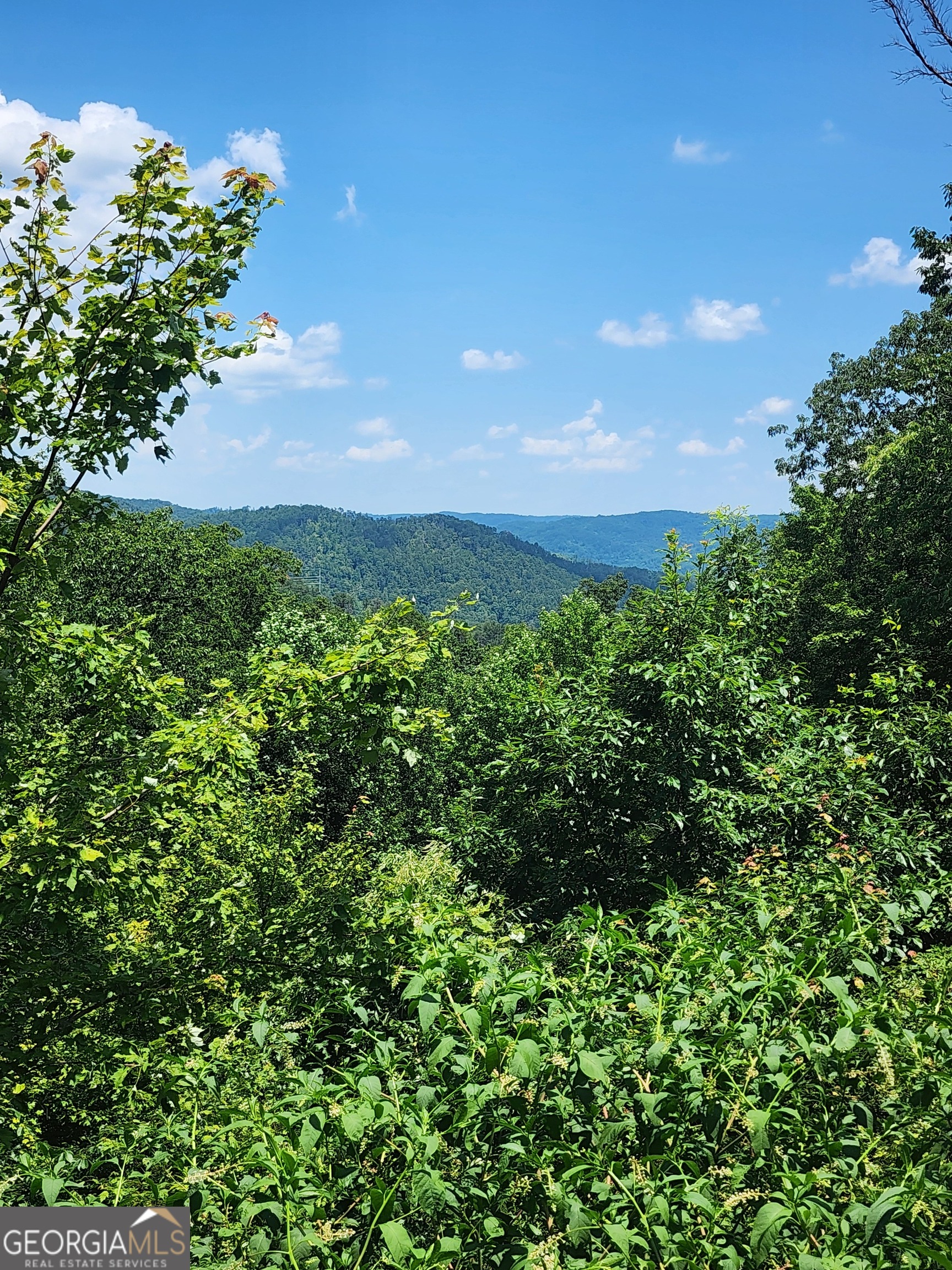 568 Yonah Lake Road Toccoa, GA 30577 - Photo 6 of 21