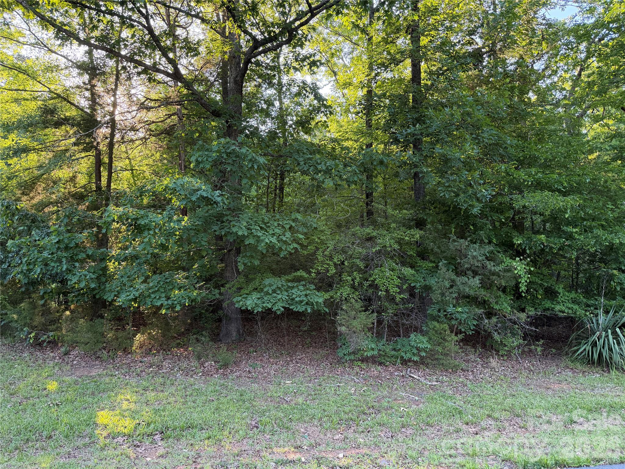 111 Wagon Road Mount Gilead, NC 27306 - Photo 26 of 26