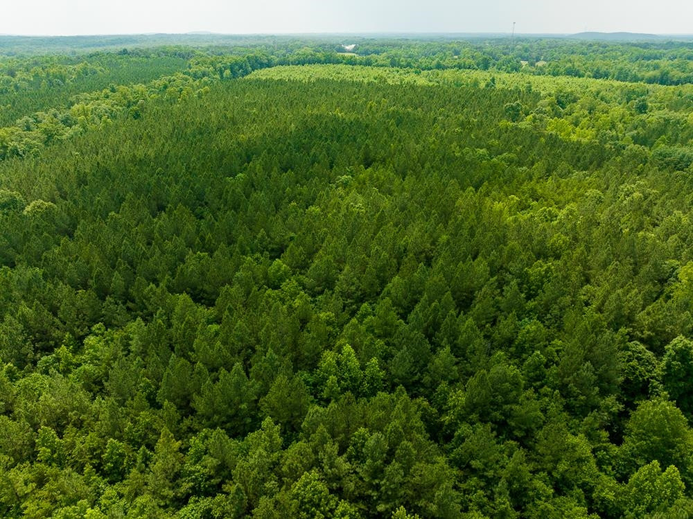 0 Mill Creek Road Roxboro, NC 27574 - Photo 53 of 54 Photo 54