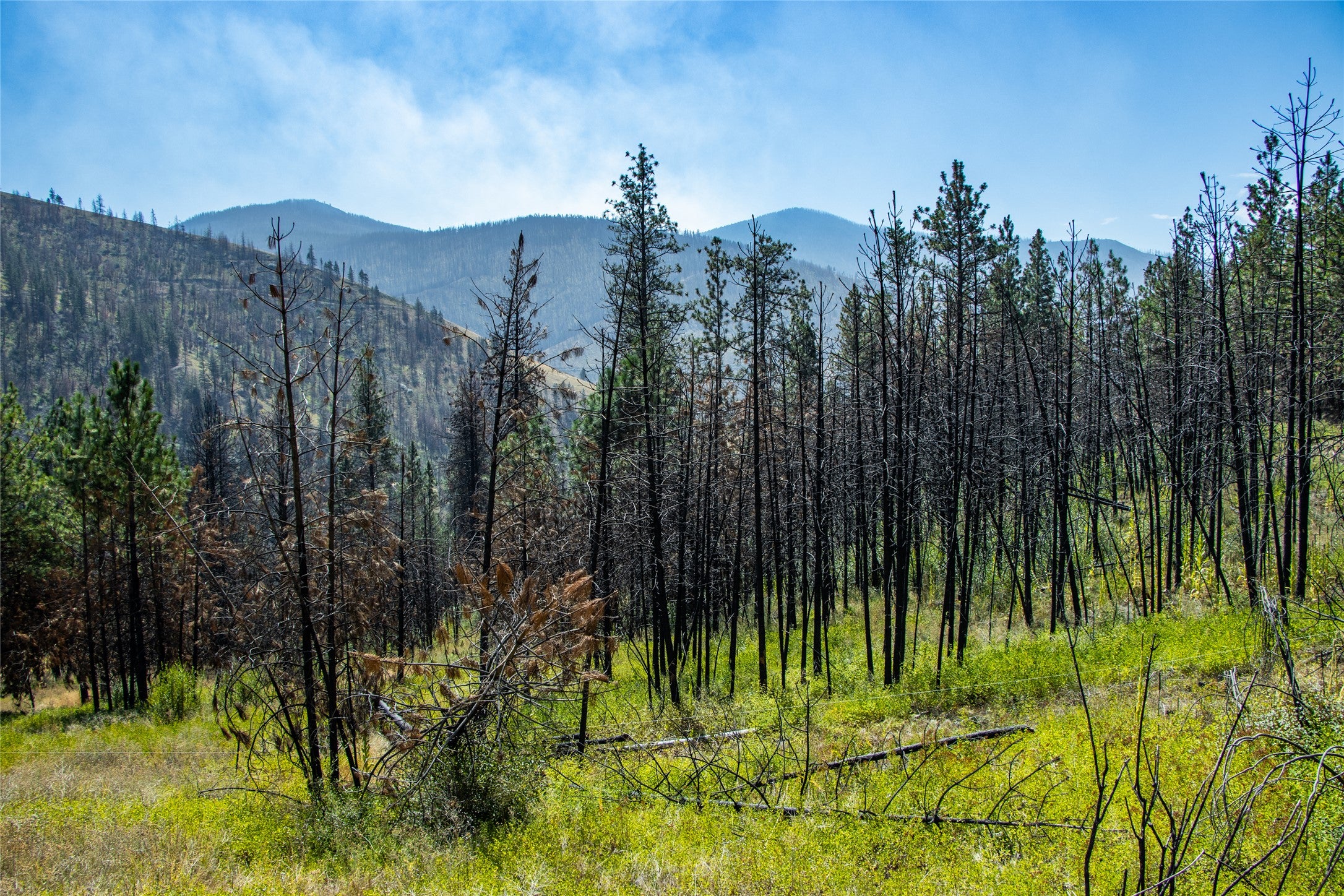 Tbd McLaughlin Creek Road Plains, MT 59859 - Photo 36 of 40 Gallery Image 36