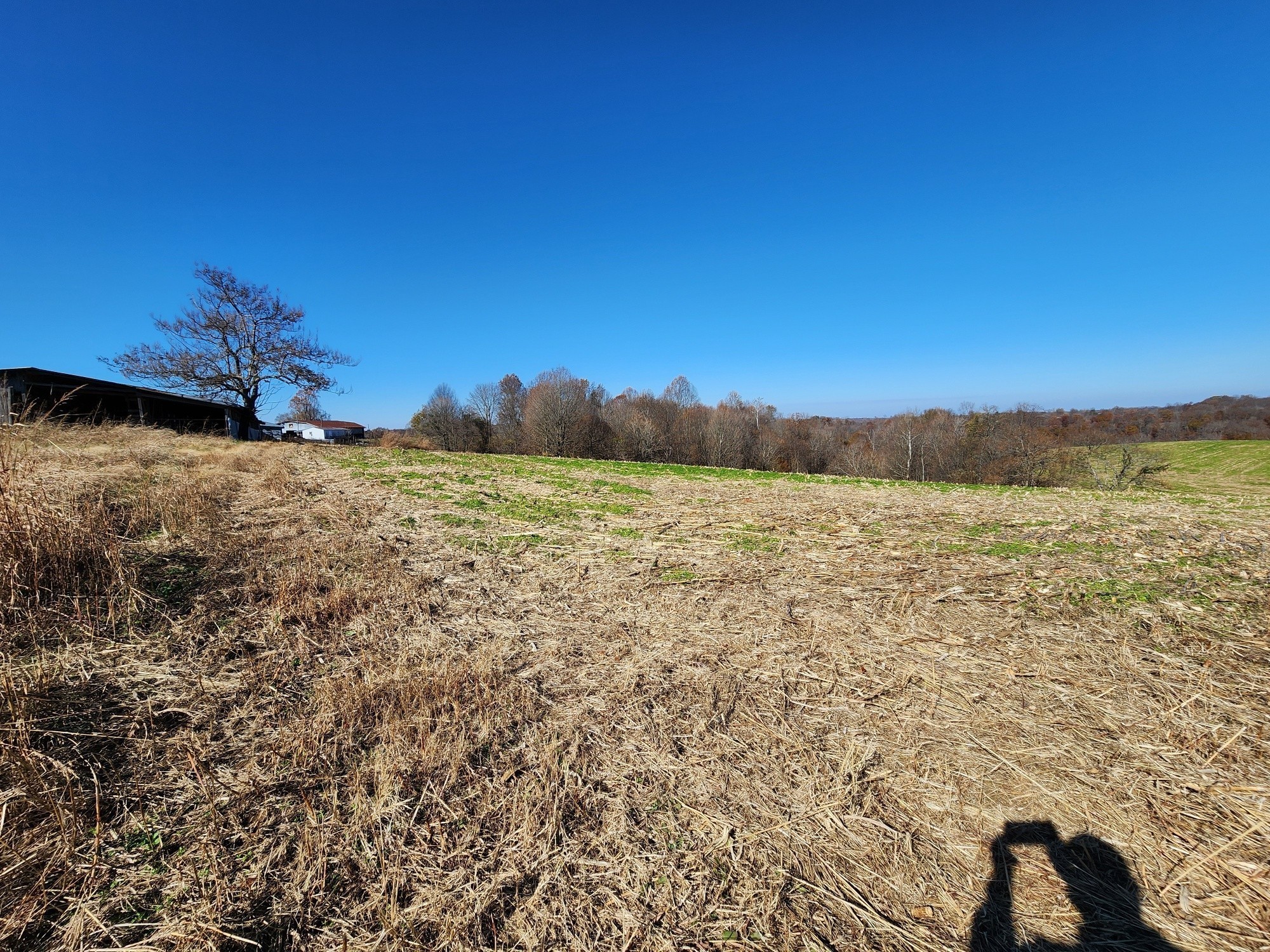 0 Taurus Farm Road Lafayette, TN 37083 - Photo 52 of 67 Gallery Image 52
