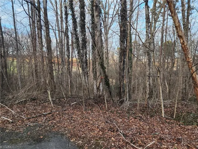 $15,000 | 0 Nancy Drive, Mount Airy, NC 27030