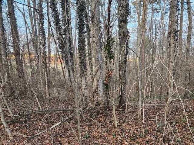 $15,000 | 0 Nancy Drive, Mount Airy, NC 27030