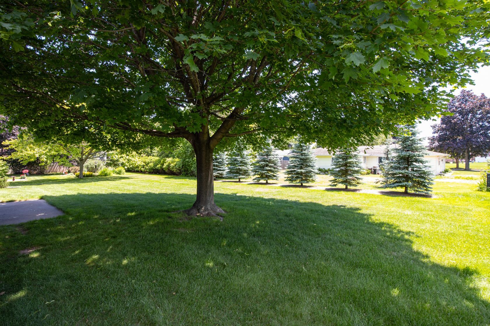 931 East Sunset Avenue Appleton, WI 54911 - Photo 3 of 25