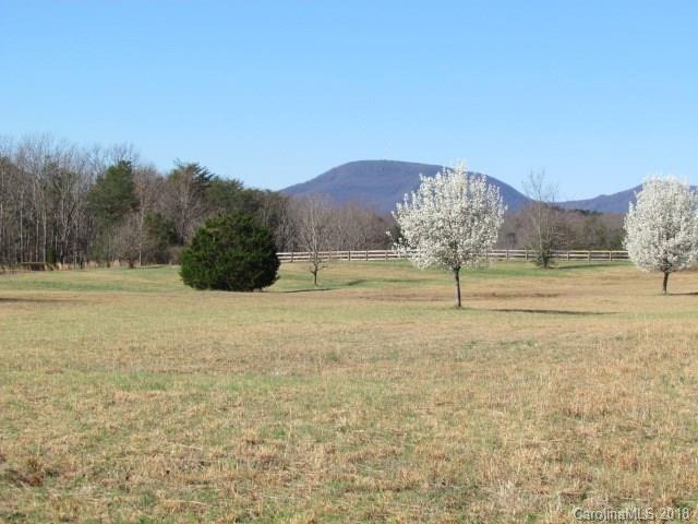 0 Greenwood Road Tryon, NC 28782 - Photo 1 of 13 a view of a yard with an ocean