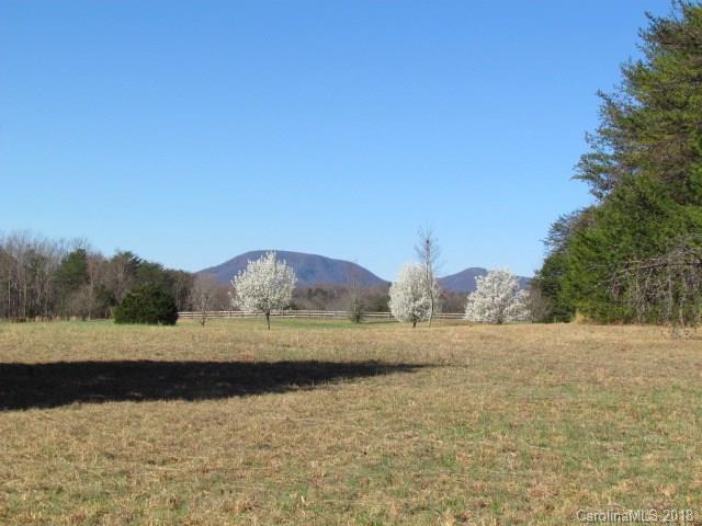0 Greenwood Road Tryon, NC 28782 - Photo 4 of 13 a view of ocean with green space