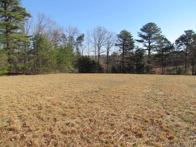 0 Greenwood Road Tryon, NC 28782 - Photo 10 of 13 a view of yard with trees