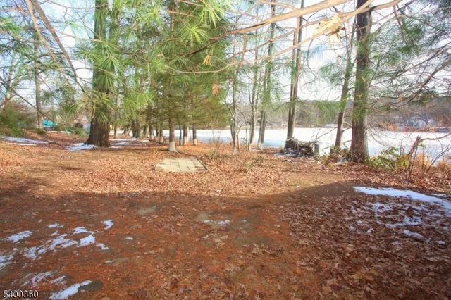 a view of a yard with a tree