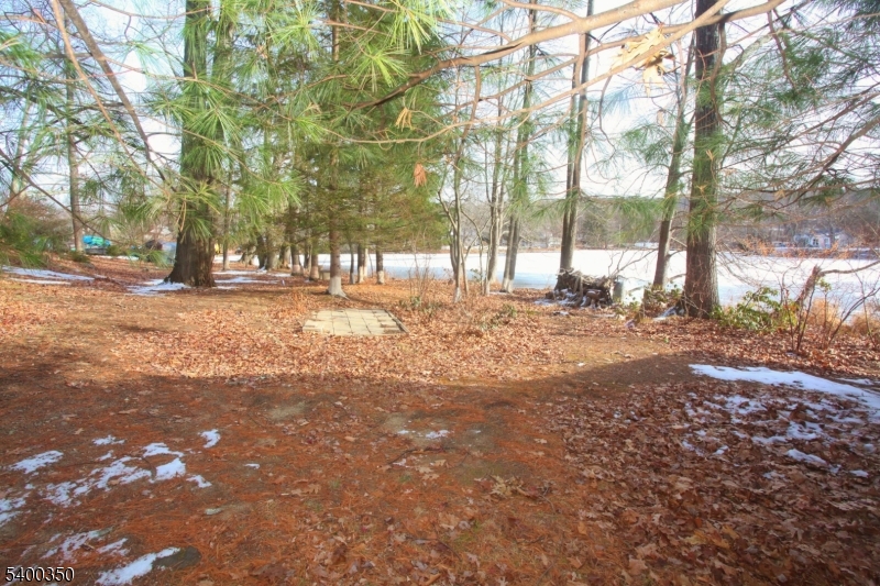 22 Choctaw Oak Ridge Oak Ridge, NJ 07438 - Photo 20 of 23 a view of a yard with a tree