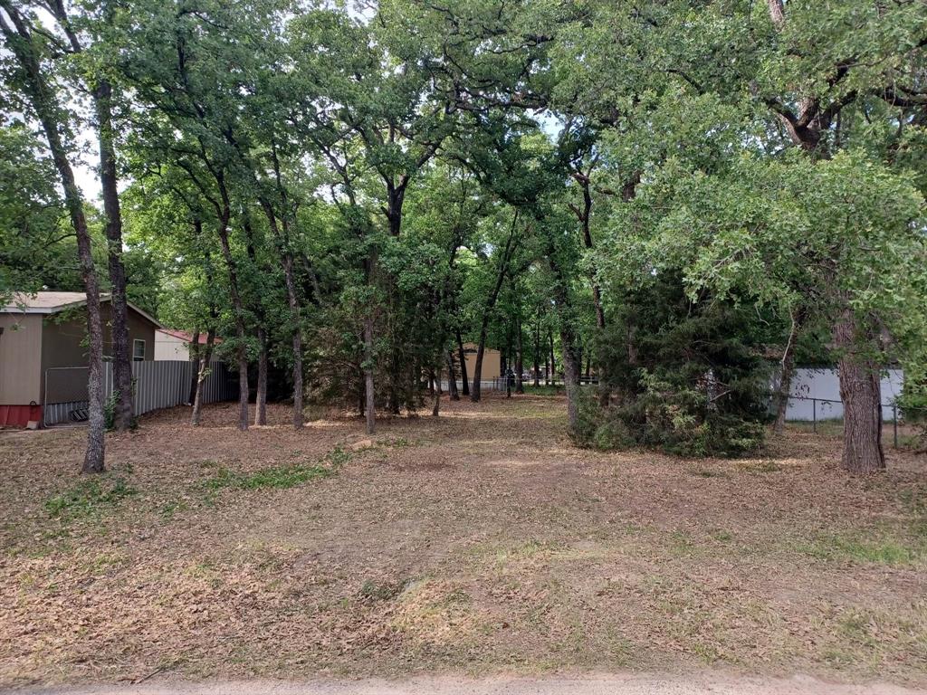 a view of a yard with a tree