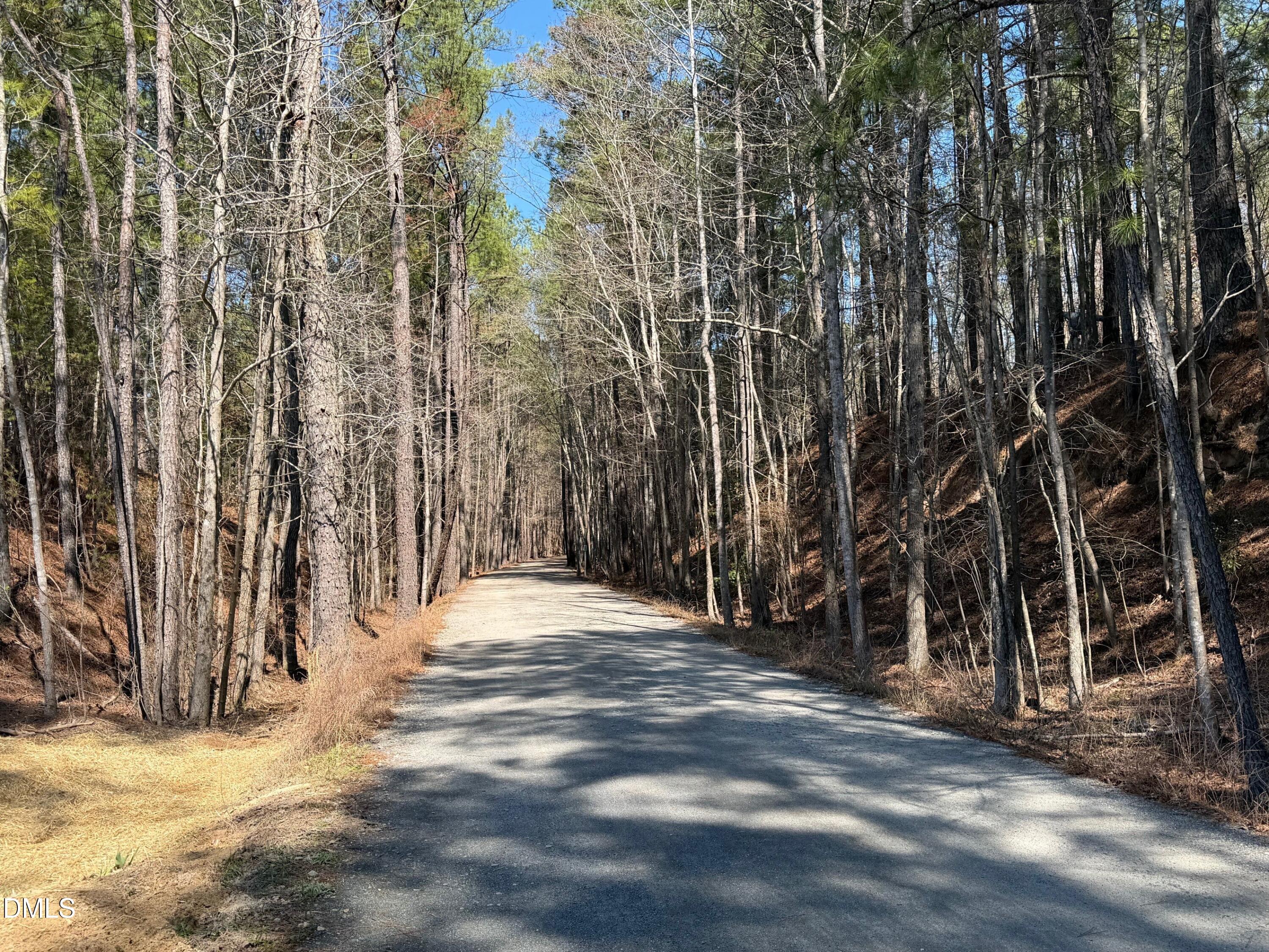 10030 Secluded Gdn Drive, Unit 192 Apex, NC 27523 - Photo 17 of 48 American Tobacco Trail 1