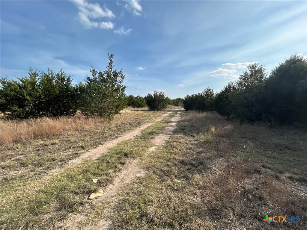 850 Blakely Road Gatesville, TX 76528 - Photo 12 of 17