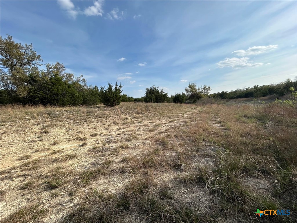 850 Blakely Road Gatesville, TX 76528 - Photo 7 of 17