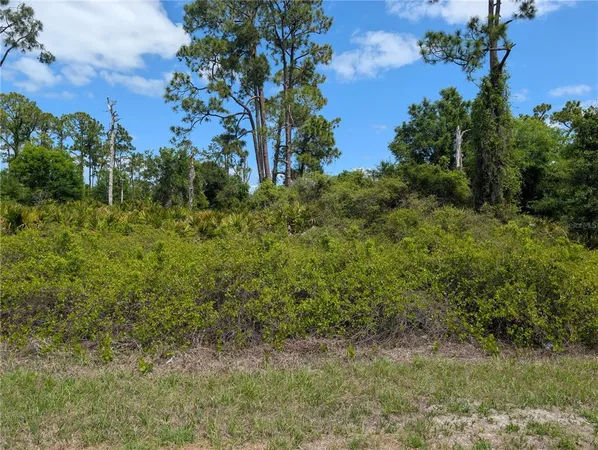 $20,000 | 784 Washington Boulevard Northeast, Lake Placid, FL 33852