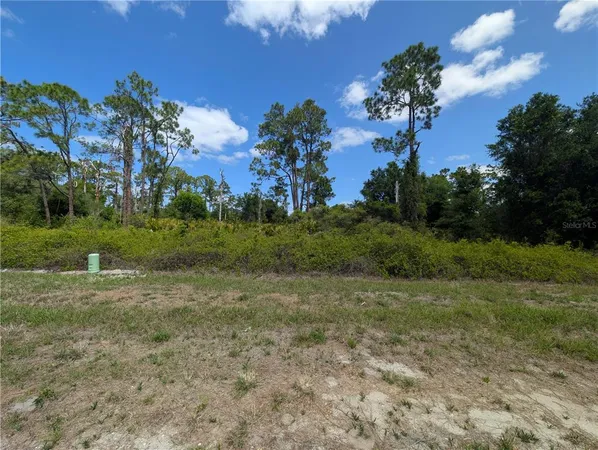 $20,000 | 784 Washington Boulevard Northeast, Lake Placid, FL 33852
