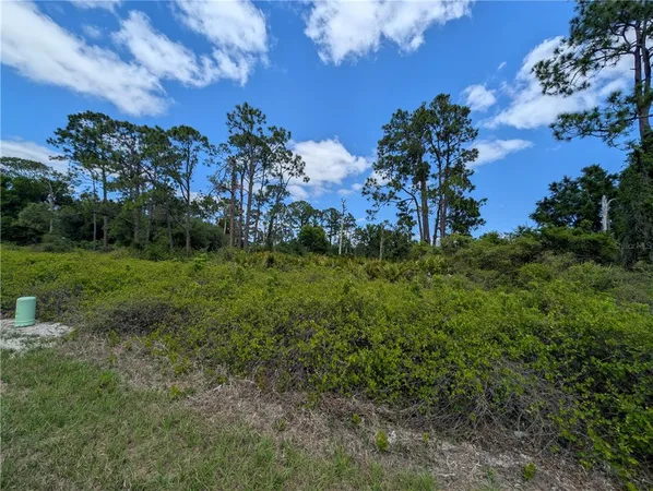 $20,000 | 784 Washington Boulevard Northeast, Lake Placid, FL 33852