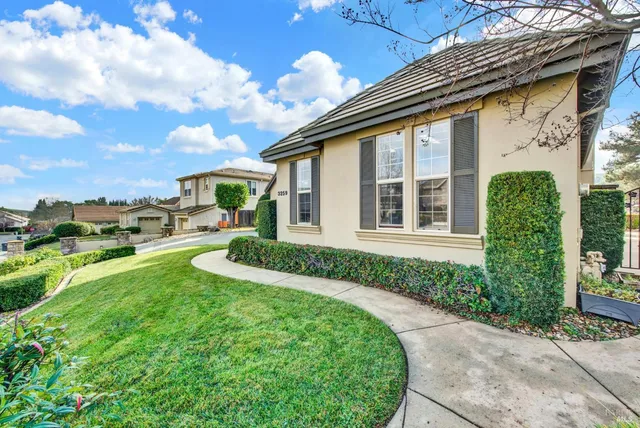 a view of a white house with a large tree and plants