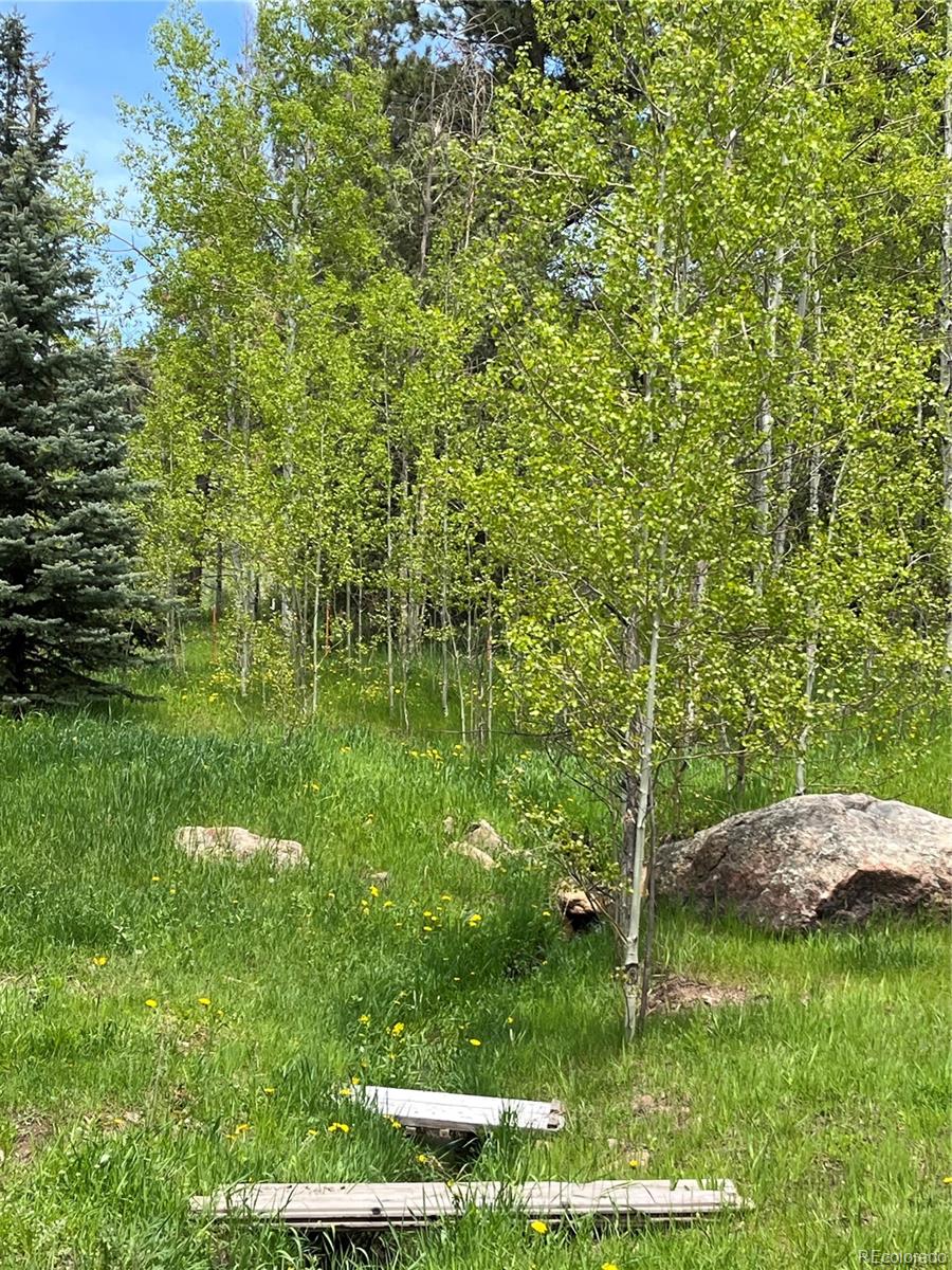 9399 Granzella Road Morrison, CO 80465 - Photo 37 of 41 a backyard of a house with lots of green space