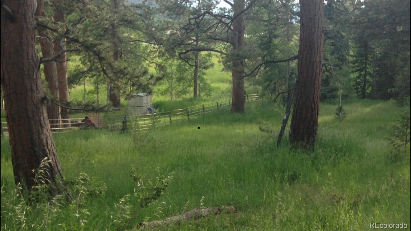 9399 Granzella Road Morrison, CO 80465 - Photo 38 of 41
