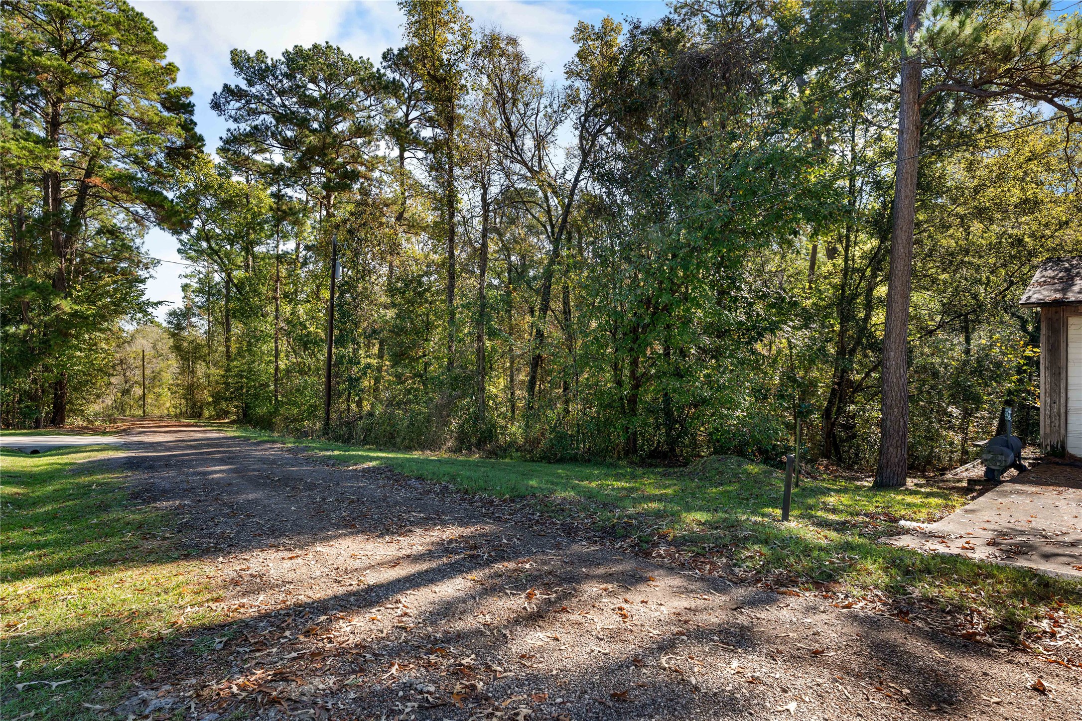 0 Lakeview Drive Point Blank, TX 77364 - Photo 2 of 10 a view of a yard with trees in front of it