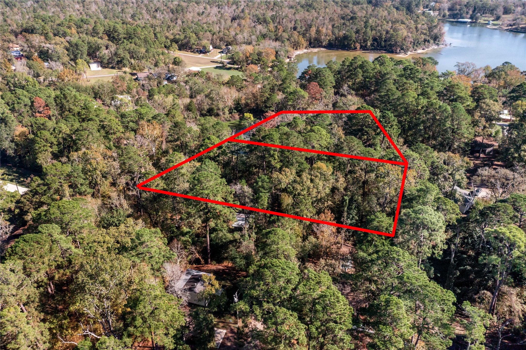 0 Lakeview Drive Point Blank, TX 77364 - Photo 4 of 10