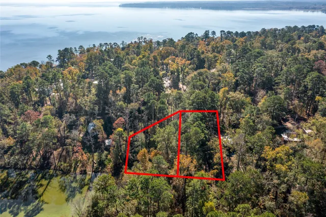 a view of a yard with trees in front of it