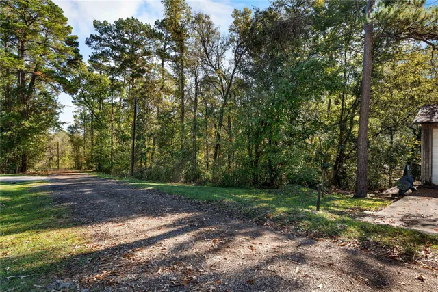 $20,000 | 0 Lakeview Drive, Point Blank, TX 77364