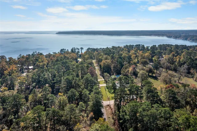 $20,000 | 0 Lakeview Drive, Point Blank, TX 77364