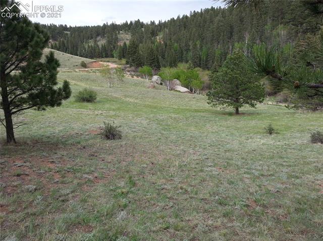 2130 Pathfinder Road Florissant, CO 80816 - Photo 20 of 32 Gallery Image 20