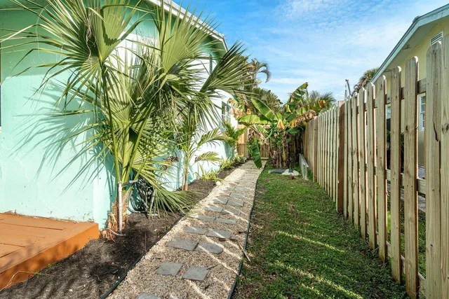 a view of a yard with plants