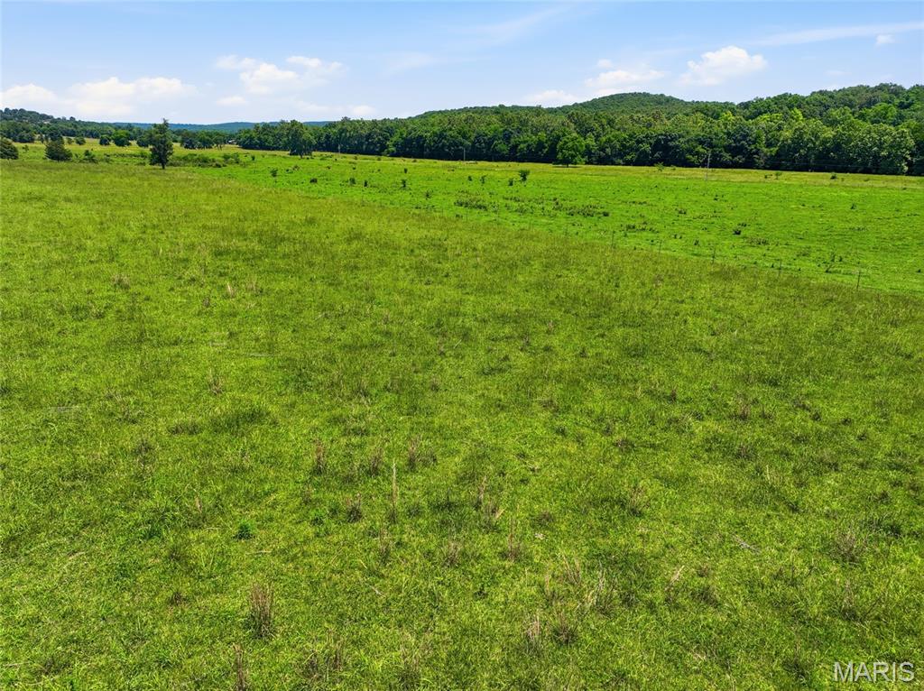 0 Pleasant Hill Road Mountain Grove, MO 65711 - Photo 21 of 51