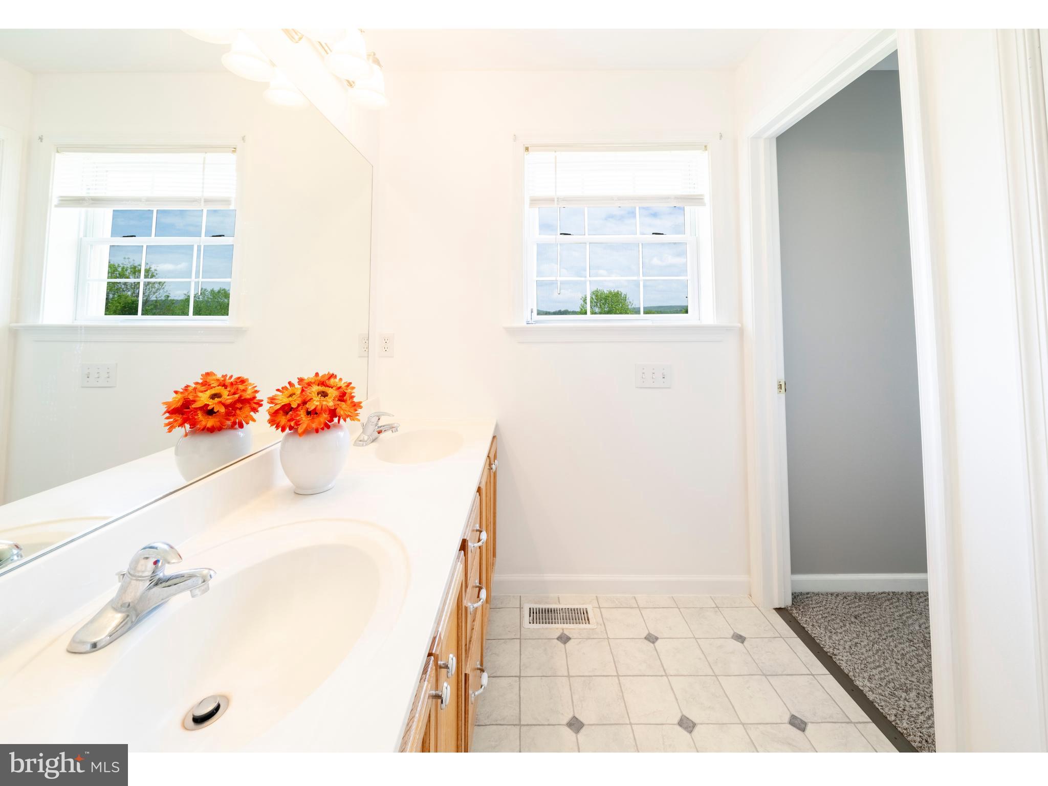 745 Apple Tree Lane Mount Wolf, PA 17347 - Photo 23 of 39 a picture of a bathroom with a sink and a window