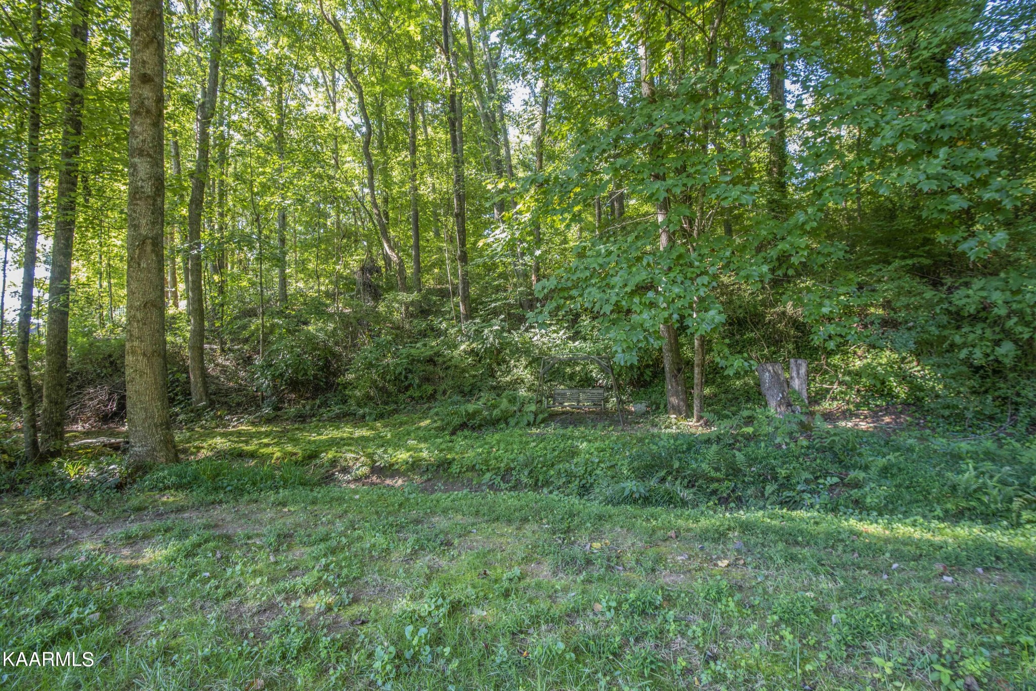 7815 Rio Grande Drive Powell, TN 37849 - Photo 46 of 48 Gallery Image 46