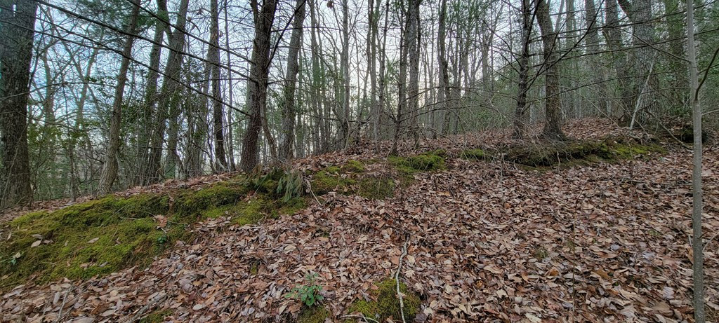 Lot 26 Beech Mountain Road Murphy, NC 28906 - Photo 2 of 8