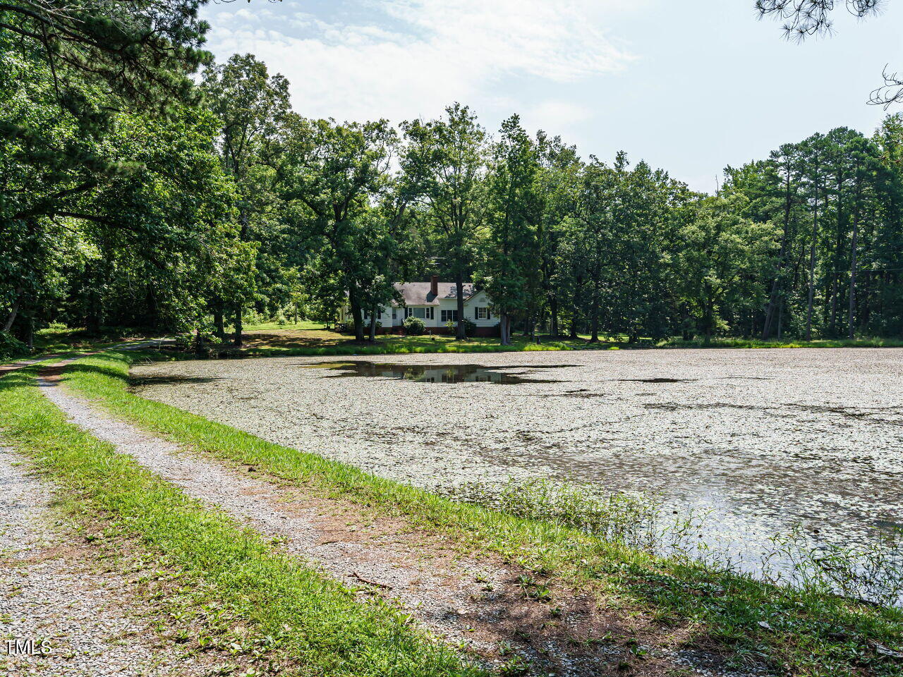 a view of a ground with a trees