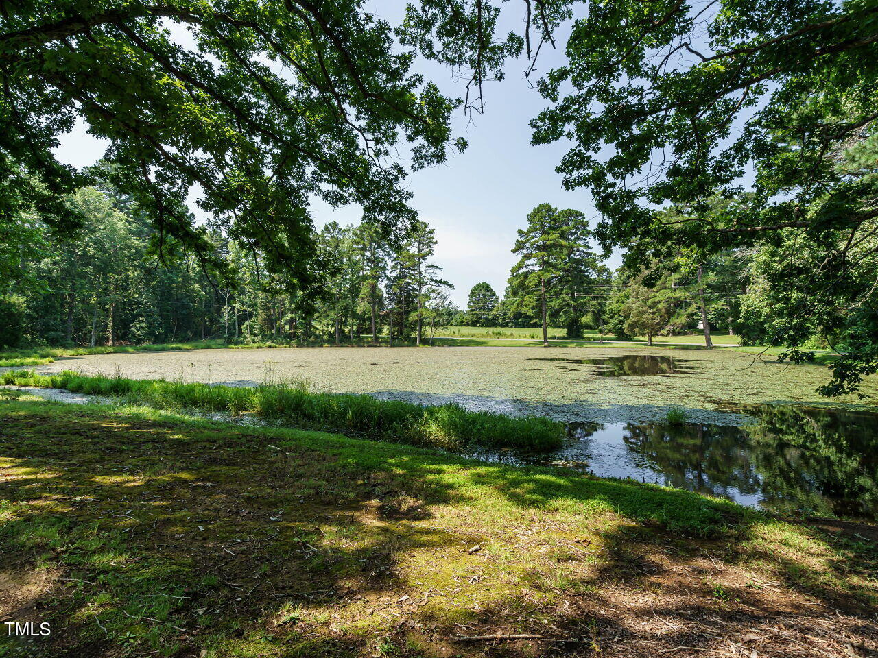 1191 Old Sanford Road Moncure, NC 27559 - Photo 28 of 30 a view of a lake with a yard