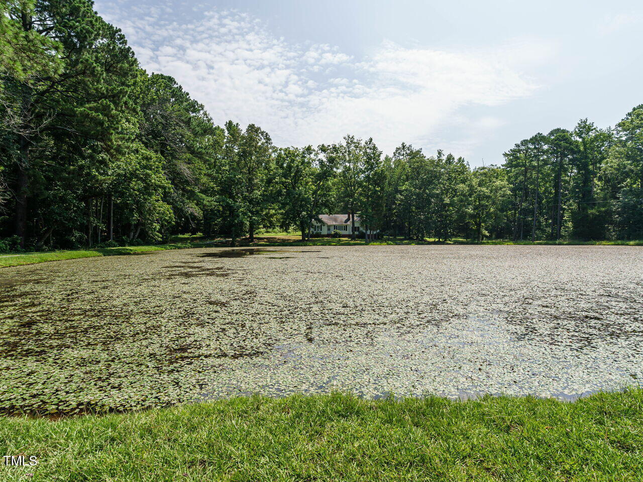 1191 Old Sanford Road Moncure, NC 27559 - Photo 29 of 30 a view of a field with trees in the background