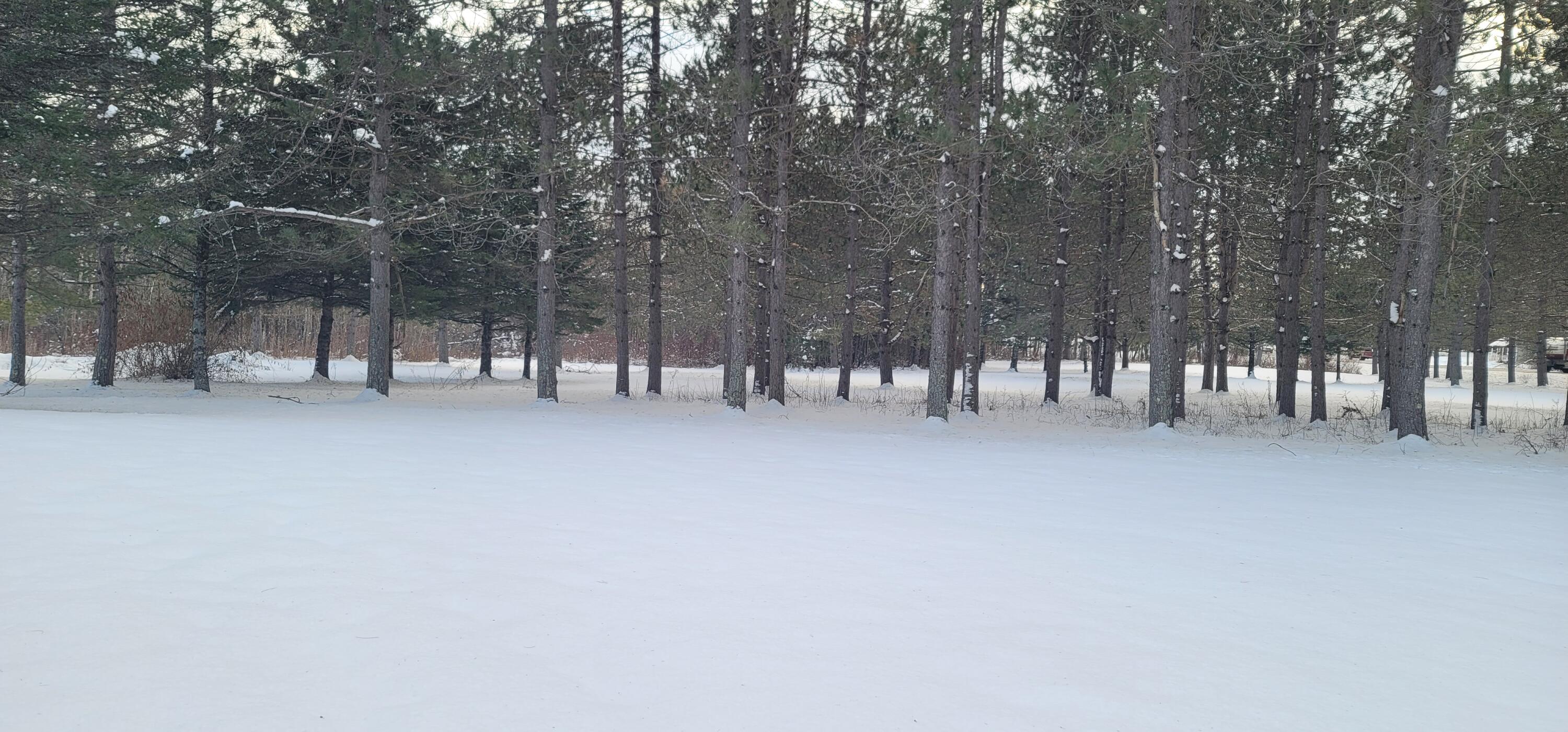 329 Dexter Road Corinna, ME 04928 - Photo 37 of 45 20221222_142942