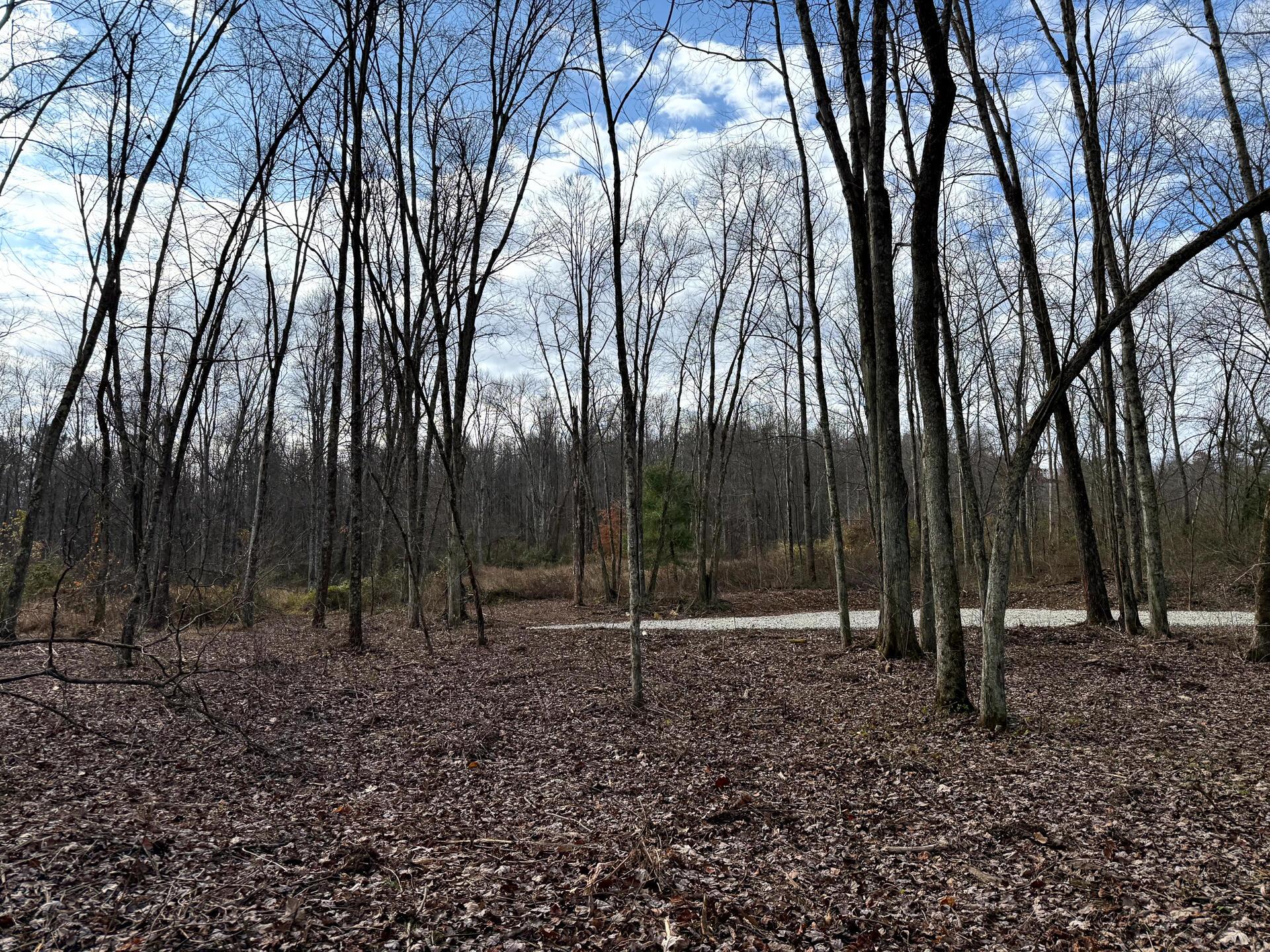 0 Dutch Ridge Road Southeast, Unit WOODS TURKEY RUN TRACT 4) New Lexington, OH 43764 - Photo 4 of 58 CT-4
