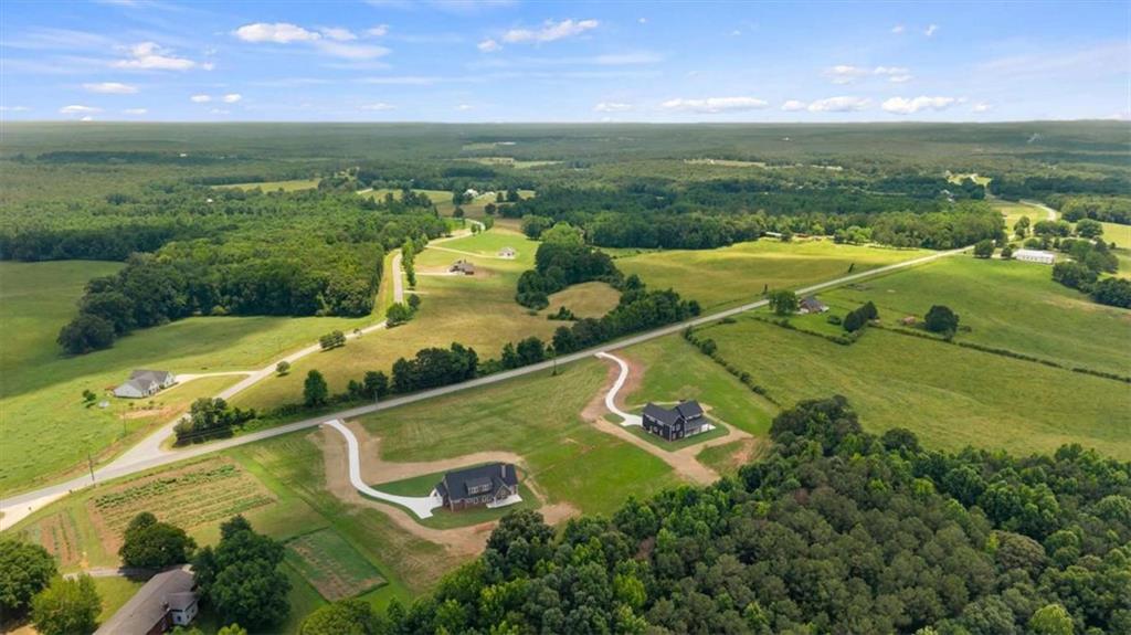 591 Welcome Road Roopville, GA 30170 - Photo 60 of 60 an aerial view of residential houses with outdoor space