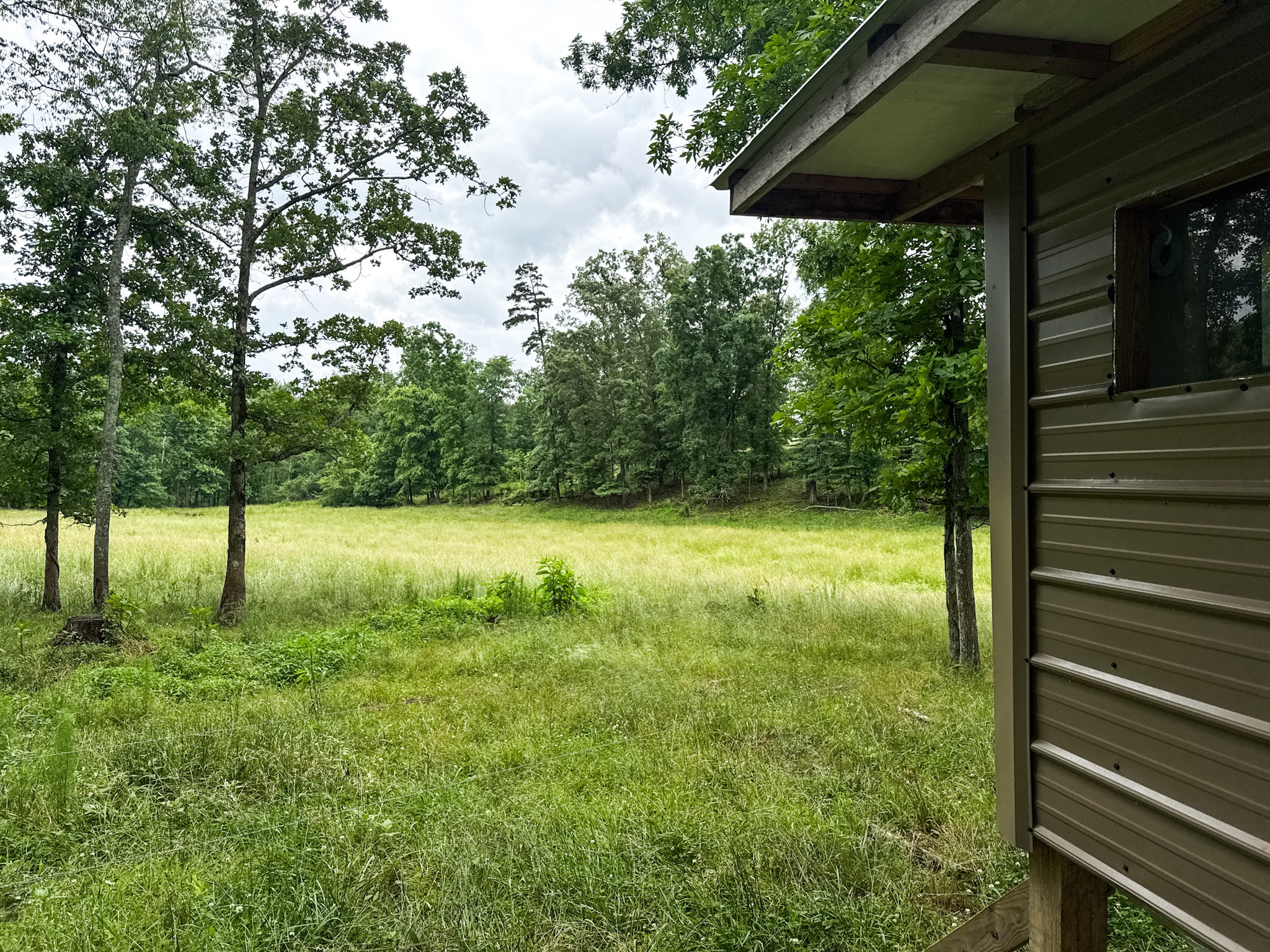 0 David Patterson Road Lutts, TN 38471 - Photo 9 of 58