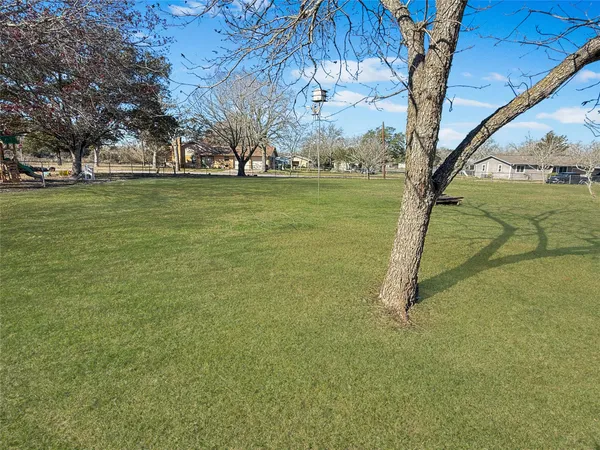 a view of a field with large trees