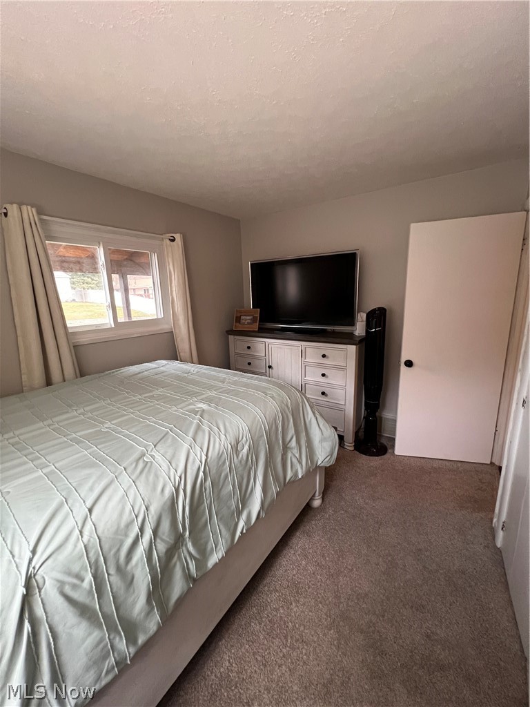 250 Baker Street Rittman, OH 44270 - Photo 16 of 31 bedroom 1 main