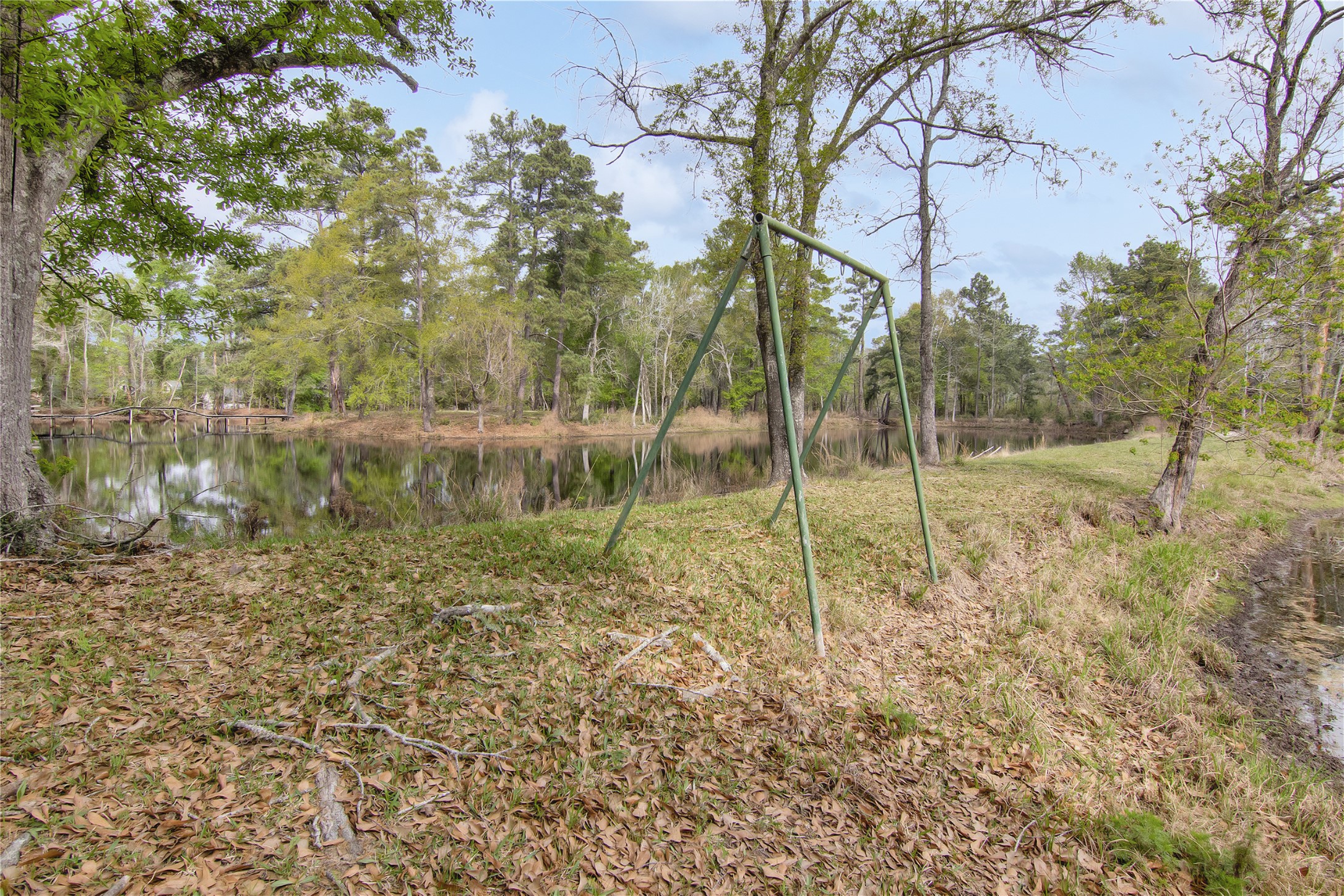 18207 Lark Lane Conroe, TX 77384 - Photo 9 of 15
