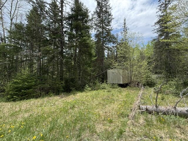 390 Woodland Road Princeton, ME 04668 - Photo 2 of 5 IMG_0100 (1)