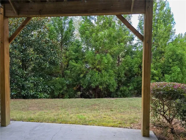 a view of a pool in a yard with large tree