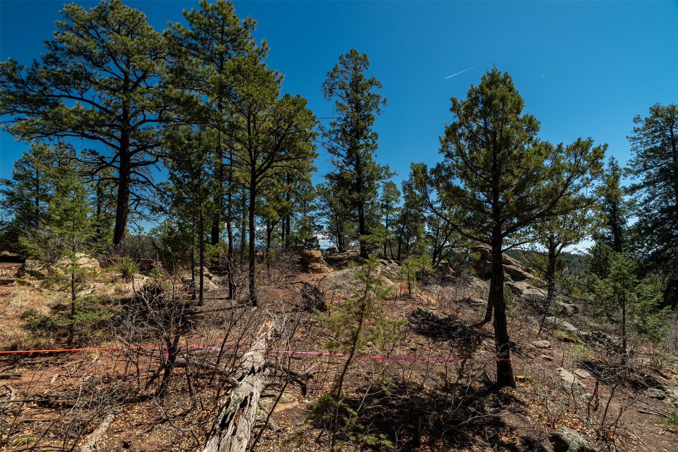 30 Monte La Cueva Road Glorieta, NM 87535 - Photo 11 of 91 Another view of proposed building site