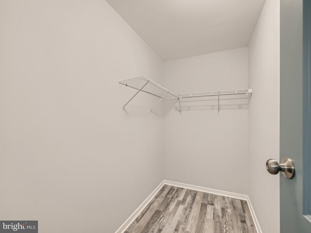 313 Nottingham Road Baltimore, MD 21229 - Photo 19 of 35 Walk In Closet