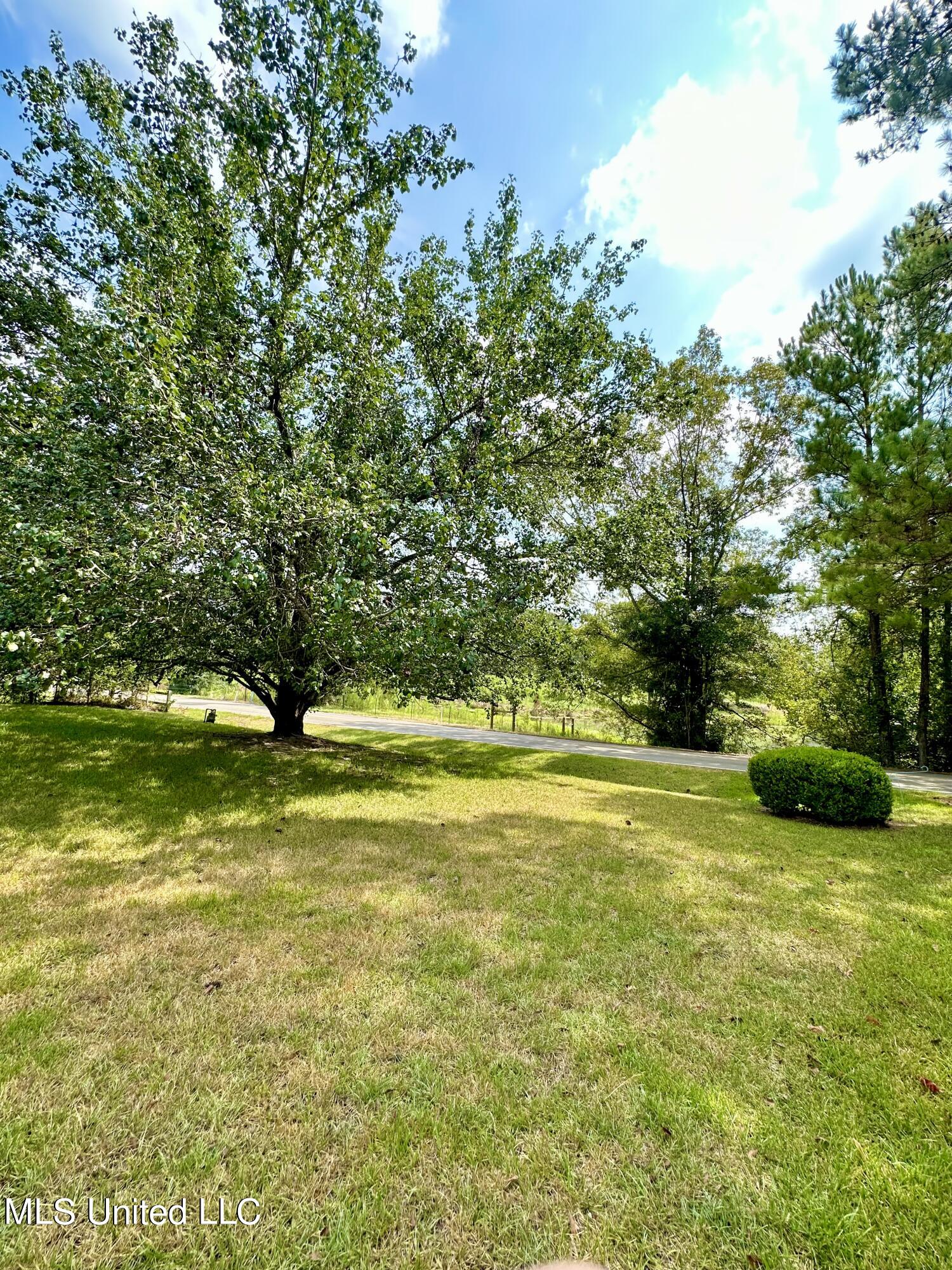 55 Lake Como Road Laurel, MS 39443 - Photo 6 of 12 IMG-4882 (2)